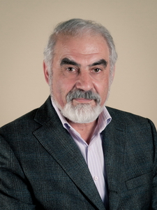 Prof. Gregory N. Goltsman